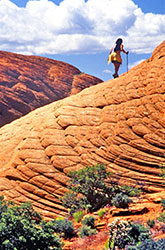 Zion and Snow canyon photo